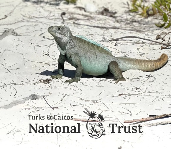 Turks and Caicos National Trust conservation and heritage storytelling project